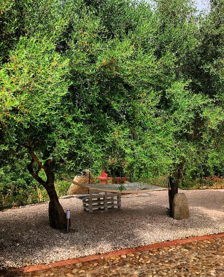 Casa Vacanza Centro Sardegna Sorgono エクステリア 写真