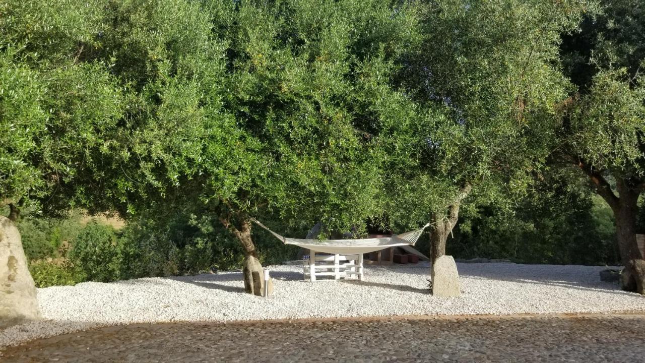 Casa Vacanza Centro Sardegna Sorgono エクステリア 写真