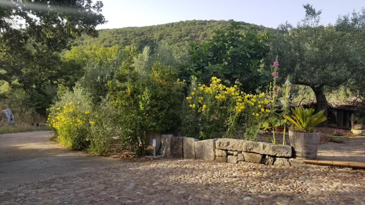 Casa Vacanza Centro Sardegna Sorgono エクステリア 写真