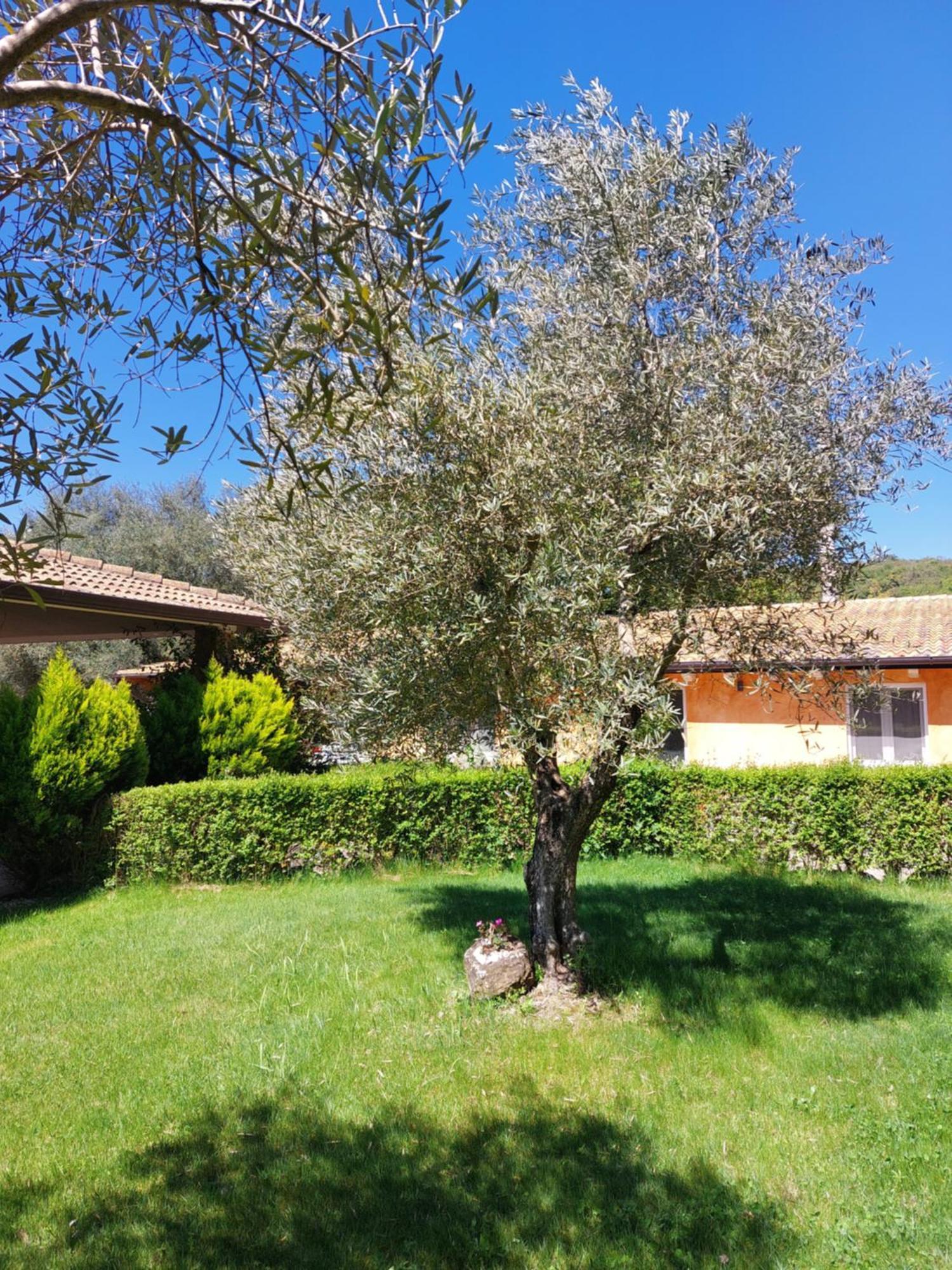 Casa Vacanza Centro Sardegna Sorgono エクステリア 写真