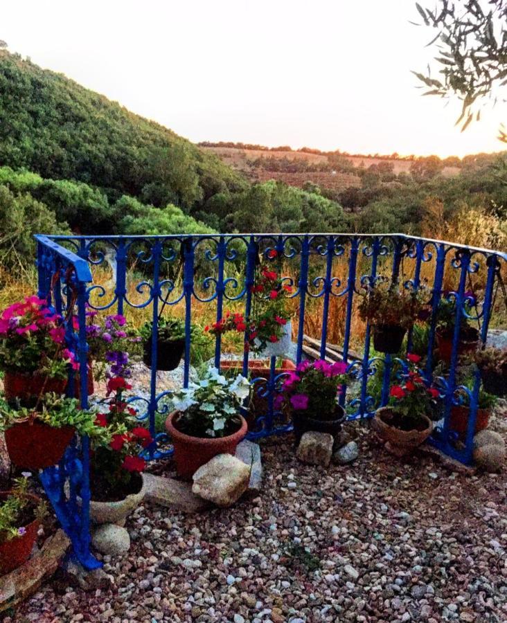 Casa Vacanza Centro Sardegna Sorgono エクステリア 写真