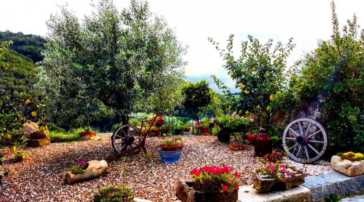Casa Vacanza Centro Sardegna Sorgono エクステリア 写真